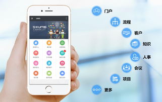 上?；ヂ摼W軟件集團 高端協同管理軟件與安全服務解決方案